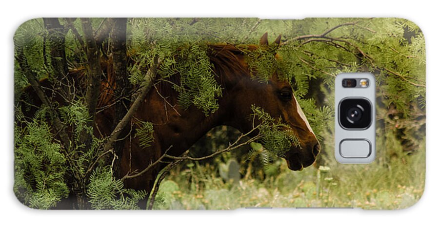 Horses Galaxy Case featuring the photograph Baby in Mesquite and Cactus by Toma Caul
