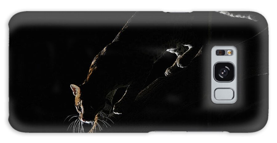 Ocelot Galaxy Case featuring the photograph Backlit Ocelot by Wade Aiken
