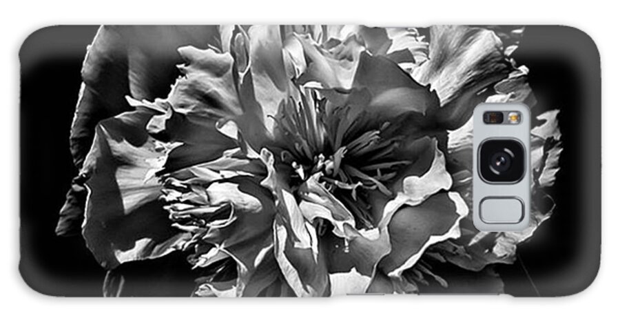 Blackandwhite Galaxy Case featuring the photograph Backyard Flower. Spring Has Sprung (i by Brian Carson