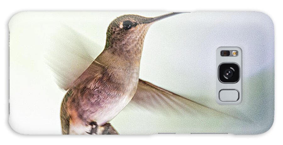 Hummingbird Galaxy Case featuring the photograph Backyard Hummingbird by Phil And Karen Rispin