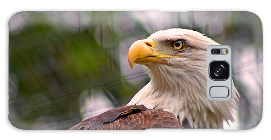 Zoo Galaxy Case featuring the photograph Bald Eagle Majestic by David Rucker