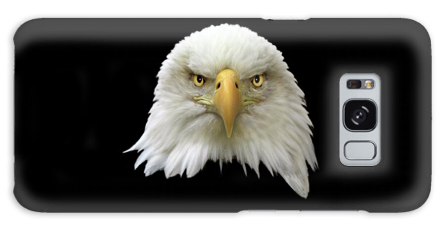Bald Eagle Galaxy Case featuring the photograph Bald Eagle by Shane Bechler