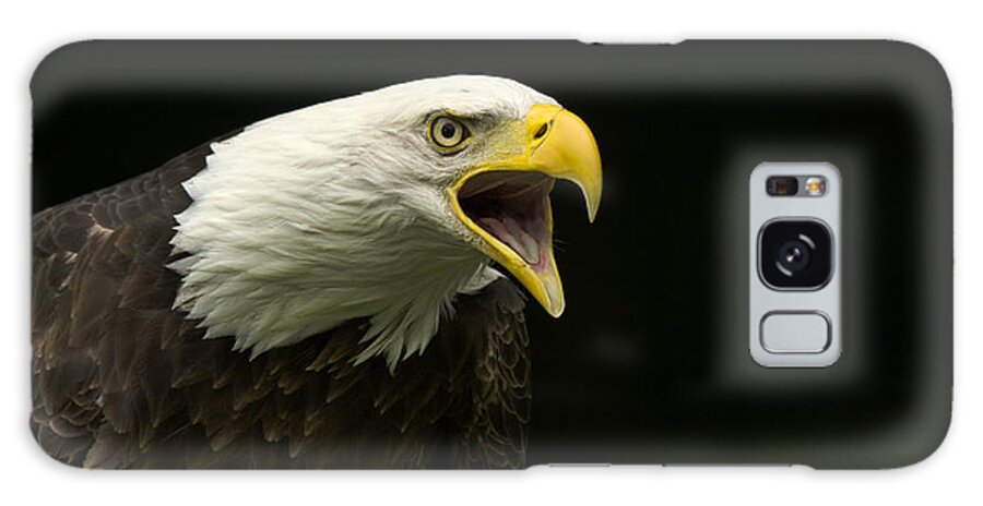 Bald Eagle Vocalizing Galaxy Case featuring the photograph Bald Eagle vocalizing by Carolyn Hall