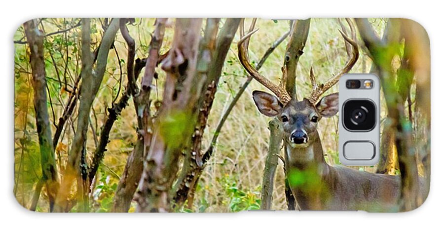 Michael Tidwell Photography Galaxy Case featuring the photograph Bambi's Father by Michael Tidwell