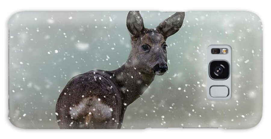 Bambi Galaxy Case featuring the photograph Bambi's First Snow by Eva Lechner