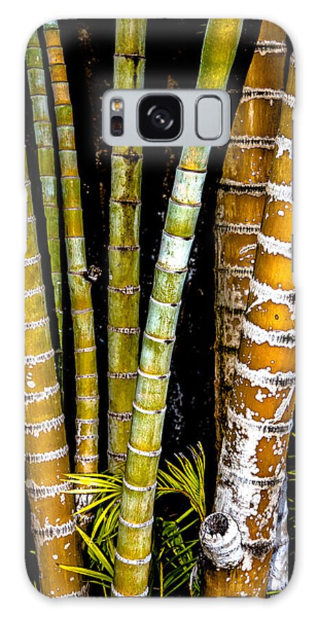 Hawaii Galaxy Case featuring the photograph Bamboo in Color by Alan Hart