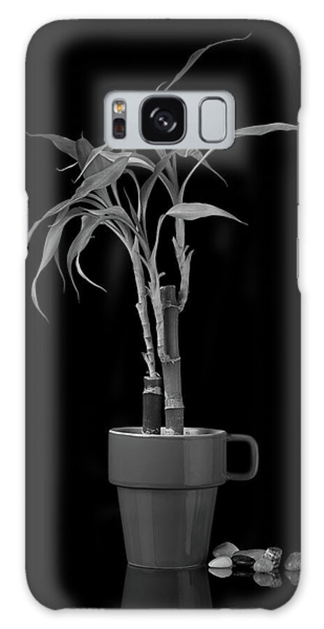 Bamboo Galaxy Case featuring the photograph Bamboo Plant by Tom Mc Nemar
