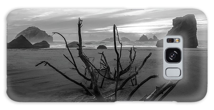 Bandon Galaxy Case featuring the photograph Bandon Beach Tree by Steven Clark