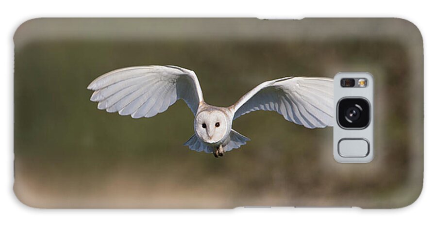 Barn Owl Galaxy S8 Case featuring the photograph Barn Owl Approaching by Pete Walkden