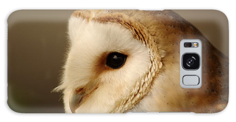 Birds Galaxy Case featuring the photograph Barn Owl Portrait by Adrian Wale