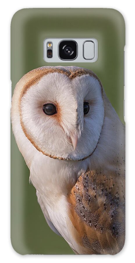Barn Galaxy Case featuring the photograph Barn Owl Portrait by Pete Walkden