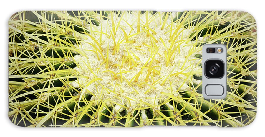 Cactus Galaxy Case featuring the photograph Barrel Cactus Closeup by Kenneth Roberts