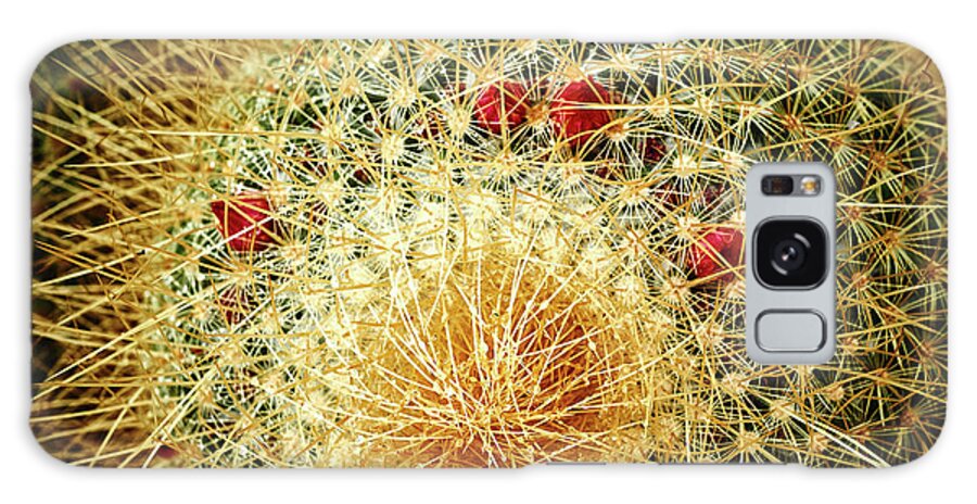 Cactus Galaxy Case featuring the photograph Barrel Cactus with Buds by Kenneth Roberts