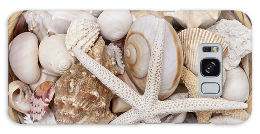 Seashells Galaxy Case featuring the photograph Basket Of Shells by Diane Macdonald