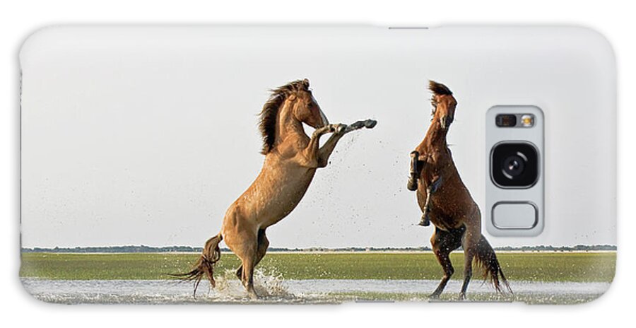 Wild Galaxy Case featuring the photograph Battling Mustangs by Bob Decker