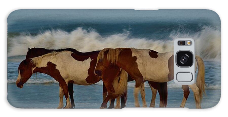 Beach Bum Pics Galaxy Case featuring the photograph Beach Bum Ponies by Billy Beck
