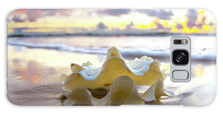 Clam Shell Galaxy Case featuring the photograph Beach. by Sean Davey