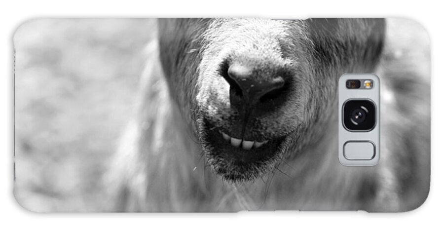 Goat Galaxy Case featuring the photograph Beardy Smiley by Angela Rath