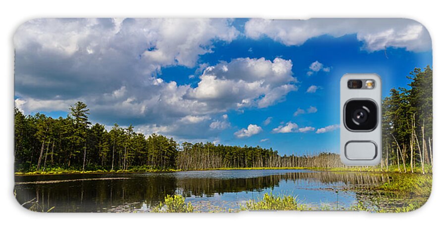 Landscape Galaxy Case featuring the photograph Beautiful Afternoon in the Pine Lands by Louis Dallara