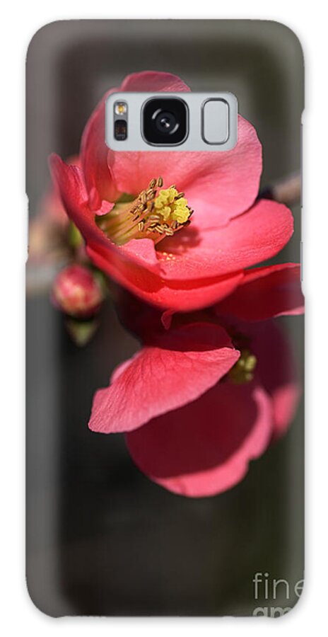 Bubbleblue Galaxy Case featuring the photograph Beautiful And Rich Flowering Quince by Joy Watson