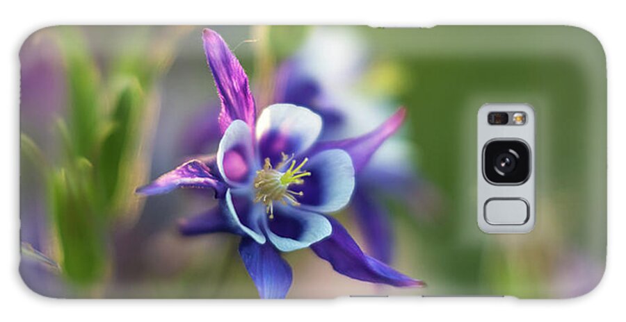 Columbine Galaxy Case featuring the photograph Beautiful Columbine Bloom by Mike Reid