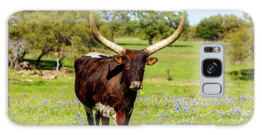African Breed Galaxy Case featuring the photograph Beautiful longhorn bull by Raul Rodriguez
