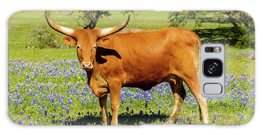 African Breed Galaxy Case featuring the photograph Beautiful longhorn cow by Raul Rodriguez