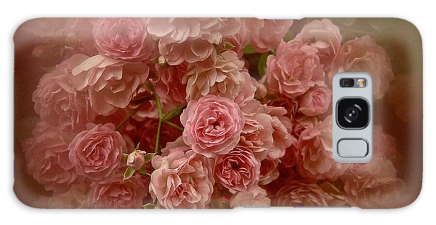 Pink Roses Galaxy Case featuring the photograph Beautiful Roses 2016 No. 3 by Richard Cummings