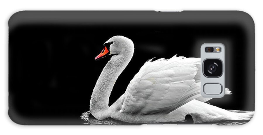Swan Galaxy Case featuring the photograph Beautiful White Swan On The Lake Wall Art by Wall Art Prints