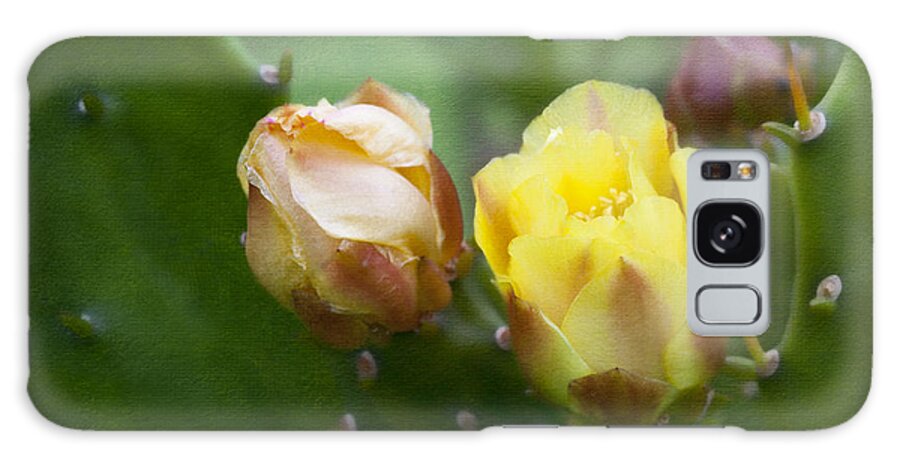 Prickly Pear Galaxy Case featuring the photograph Beauty Among Thorns by Diane Macdonald
