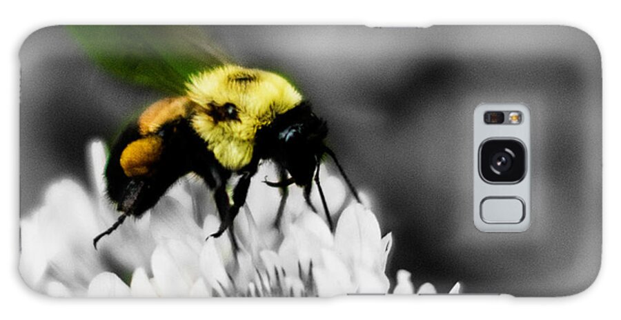 Bumble Bee Galaxy Case featuring the photograph Bee Bee by Metaphor Photo