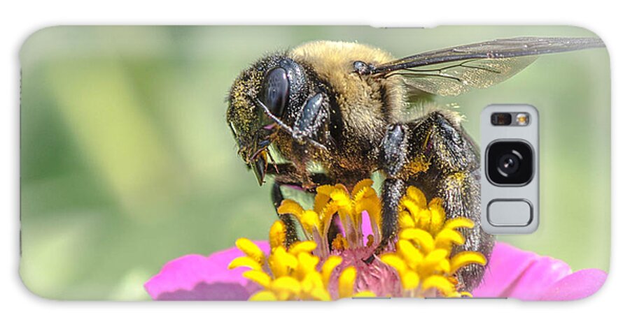 Bee Galaxy S8 Case featuring the photograph Bee Dream by Bruce Pritchett