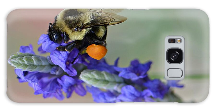 Bumble Bee Galaxy Case featuring the photograph Bee Grateful by Carolyn Mickulas