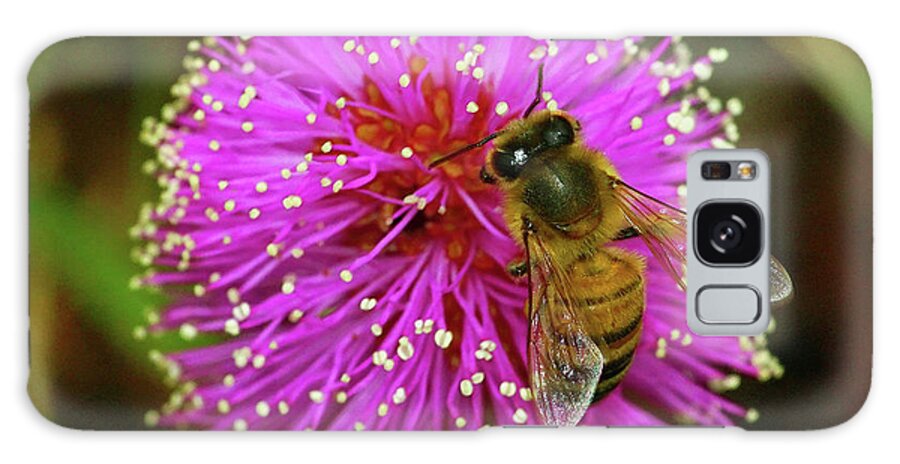 Honey Bee Galaxy Case featuring the photograph Bee on Puff Ball by Larry Nieland