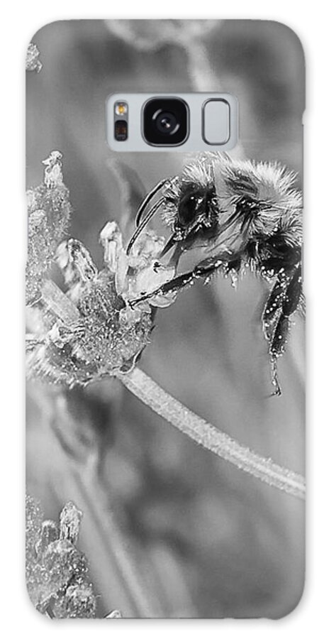 Bumblebee Galaxy Case featuring the photograph Bee Works Lavender by Len Romanick