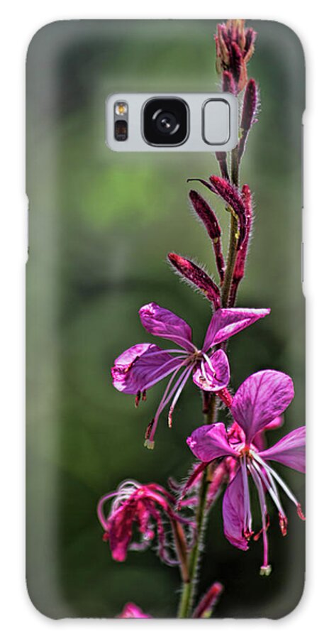 Botanical Galaxy Case featuring the photograph Beeblossom by Alana Thrower