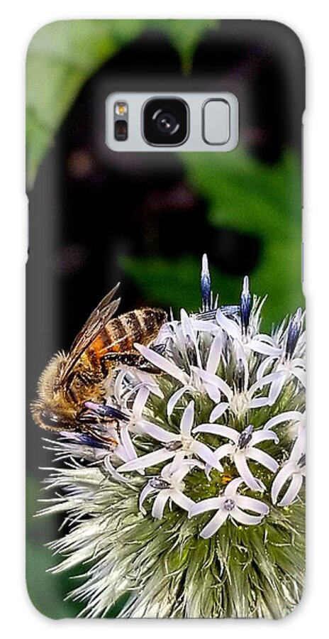 Sea Galaxy Case featuring the photograph Beeing seen by Michael Graham