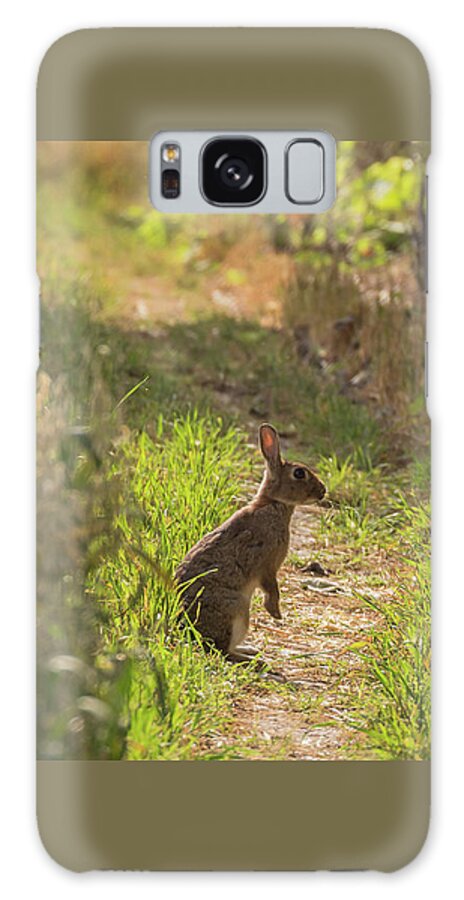 Nature Galaxy Case featuring the photograph Been Spotted by Wendy Cooper