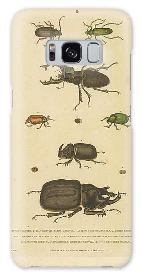 Beetles Galaxy Case featuring the painting Beetles by Celestial Images