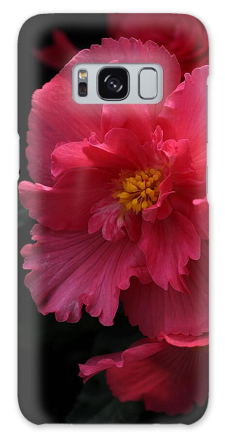 Flower Galaxy S8 Case featuring the photograph Begonia by Tammy Pool