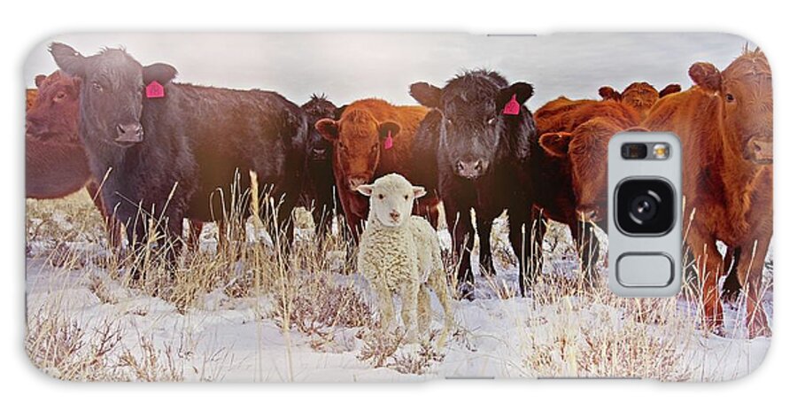 Cattle Galaxy Case featuring the photograph Behold by Amanda Smith