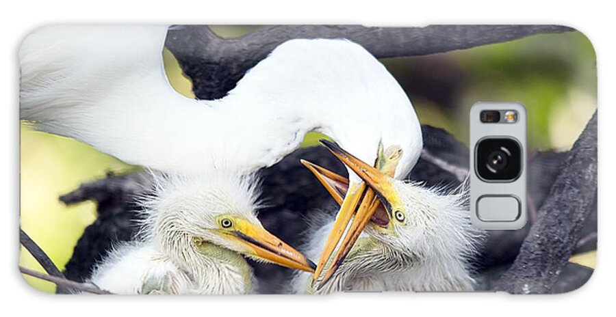Wildlife Galaxy Case featuring the photograph Being A Mom Is Tough by Kenneth Albin
