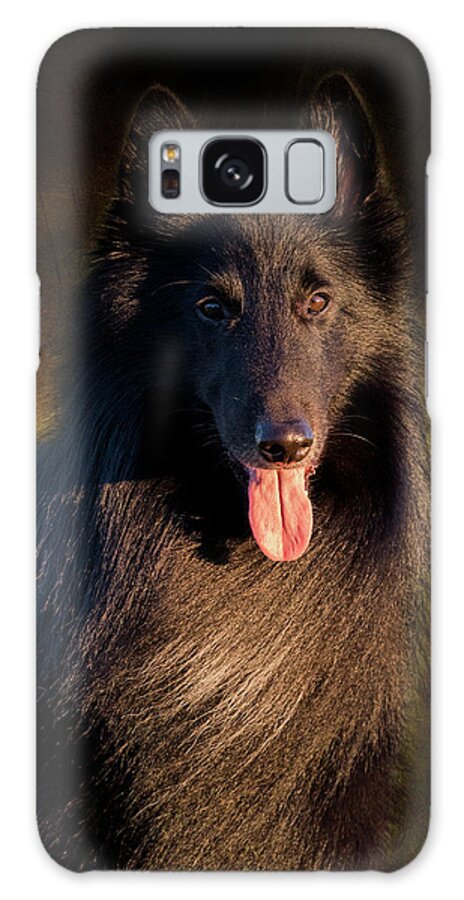 Dog Galaxy Case featuring the photograph Belgian Groenendael Portrait by Diana Andersen