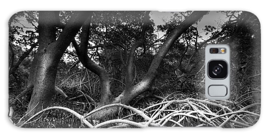 Sunset Under The Mangroves Galaxy Case featuring the photograph Below The Canopy by Marvin Spates