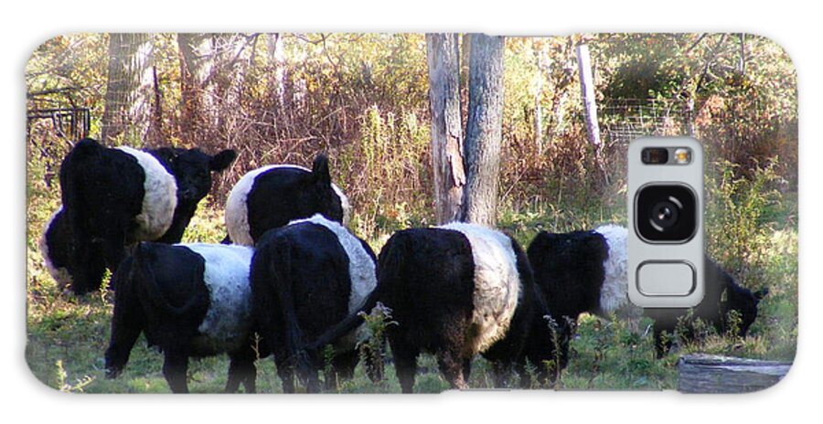 Landscape Galaxy Case featuring the photograph Belties by Doug Mills