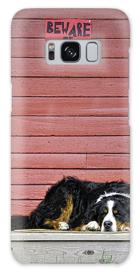 Dog Galaxy S8 Case featuring the photograph Bernese Mountain Dog Alertly Guarding Home. by Fred J Lord