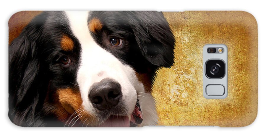 Bernese Mountain Dog Galaxy Case featuring the photograph Bernese Mountain Dog by Smart Aviation