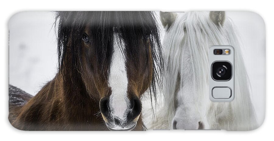 Horse Galaxy Case featuring the photograph Best Friends II by Everet Regal