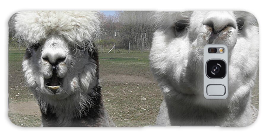Alpaca Galaxy Case featuring the photograph Betty what do you think by Kim Galluzzo