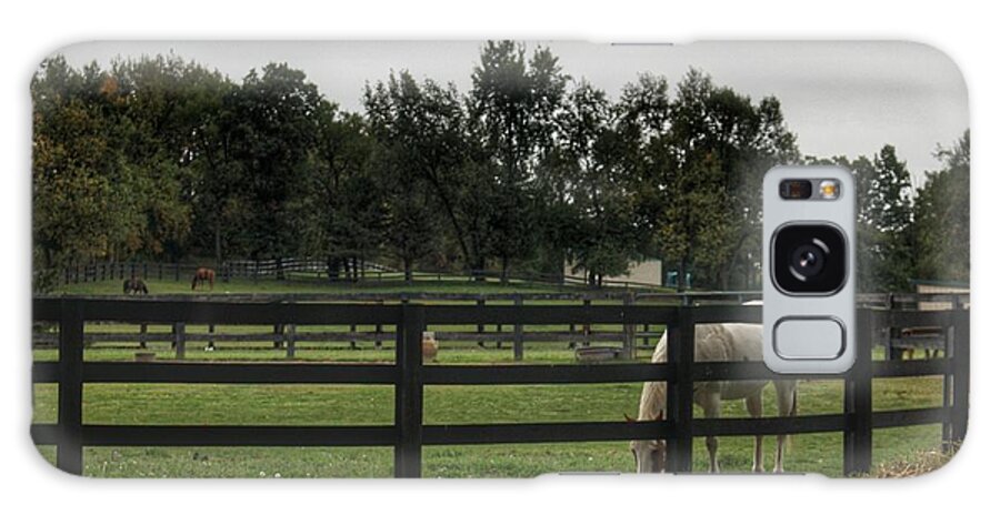 Horse Galaxy Case featuring the photograph 1004 - Beyond the Fence White Horse by Sheryl L Sutter